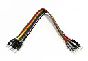Male to Male Jumper Wire 1 Pin (20cm)